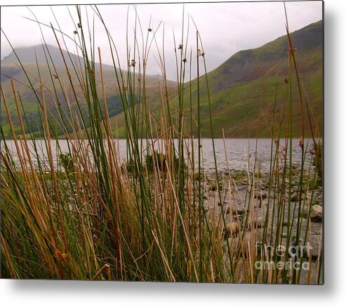 Wastwater Metal Print featuring the photograph Wastwater Through The Reeds by Joan-Violet Stretch