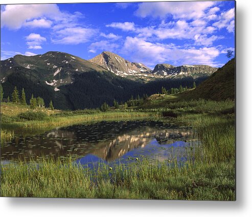 Feb0514 Metal Print featuring the photograph West Needle Mountains Weminuche by Tim Fitzharris