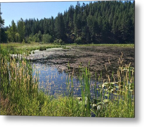 Landscape Metal Print featuring the photograph Wetland Flourish by Kate Gibson Oswald