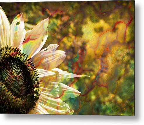 Sunflower Metal Print featuring the photograph Whimsical Sunflower by Luke Moore