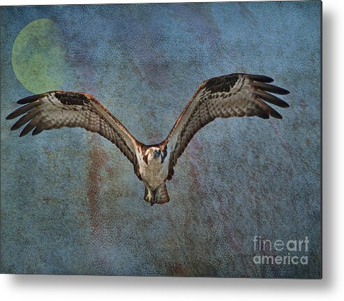 Osprey Metal Print featuring the photograph Whispering To The Moon by Deborah Benoit