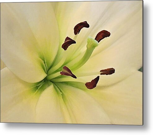 White Lily Metal Print featuring the digital art White Lily PP-6 by Doug Morgan