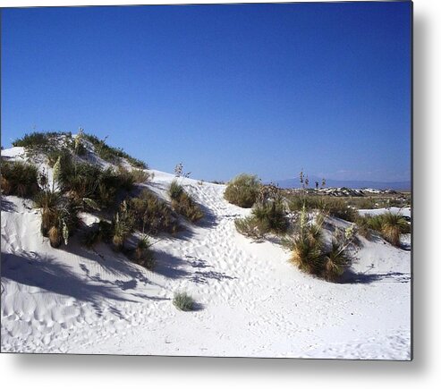 White Metal Print featuring the photograph White Sands Foilage by The GYPSY