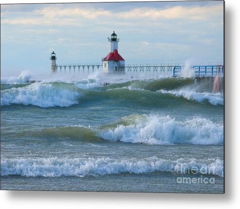Wind Metal Print featuring the photograph Wind-borne Fury by Ann Horn
