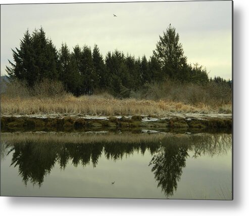 Winter Metal Print featuring the photograph Winter River 2 by Gallery Of Hope 
