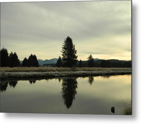 Nature Metal Print featuring the photograph Winter River 6 by Gallery Of Hope 