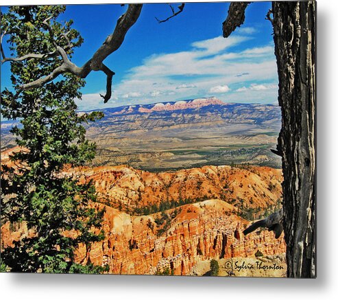 Bryce Park Metal Print featuring the photograph With God's Paintbrush by Sylvia Thornton