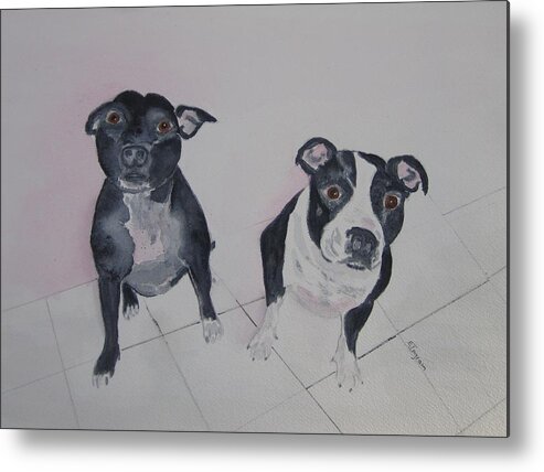 Dogs Metal Print featuring the painting Are you looking at me by Elvira Ingram