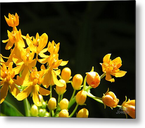 Yellow Metal Print featuring the photograph Yellow Flowers by Adam Johnson