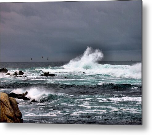 Ocean Metal Print featuring the photograph Asilomar 2007 by Joyce Dickens