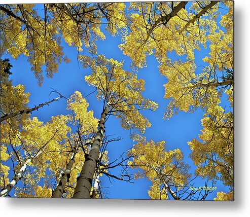 Aspen Metal Print featuring the photograph Aspen in the Sky by Stephen Johnson