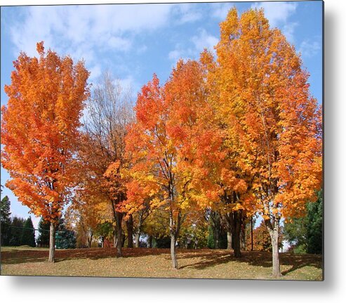 Autumn Metal Print featuring the photograph Autumn Leaves by Athena Mckinzie