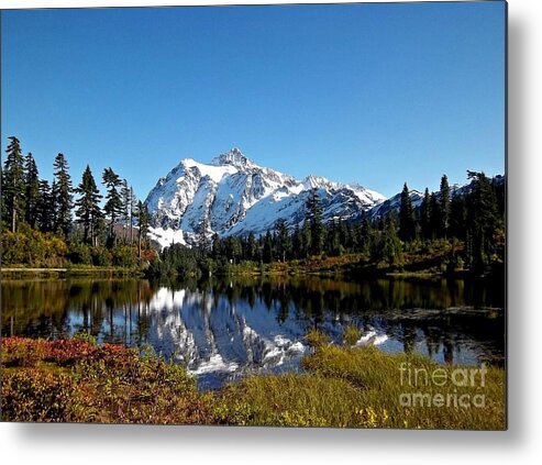 Landscape Metal Print featuring the photograph Autumn Reflection by Helen Campbell