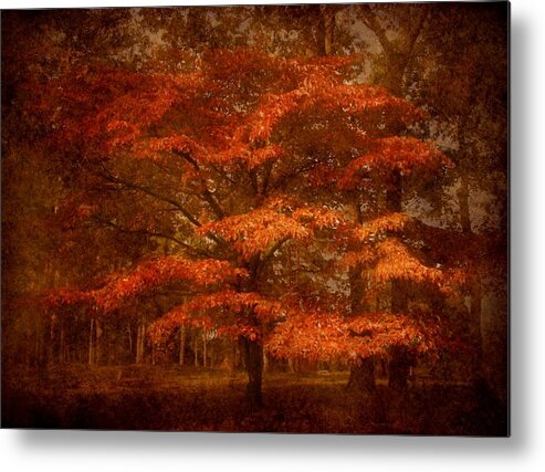 Autumn Metal Print featuring the photograph Autumn's Tradition - Ocean County Park by Angie Tirado