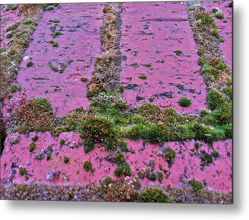 Bricks Metal Print featuring the photograph Brick Wall by Bill Owen