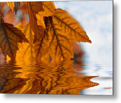 Autumn Metal Print featuring the photograph Bronze Reflections in Autumn by Elaine Manley