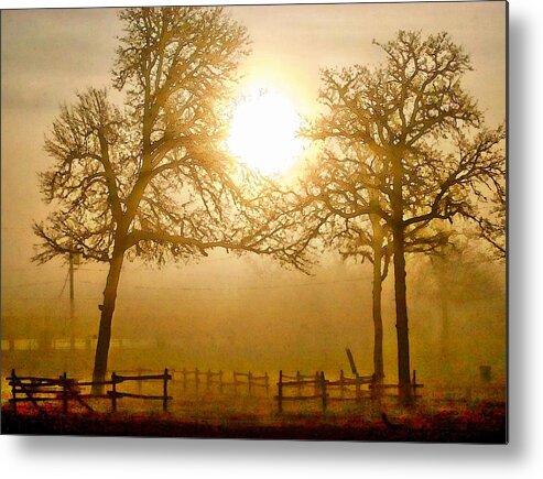 Country Metal Print featuring the digital art Dawn in the country by Carrie OBrien Sibley