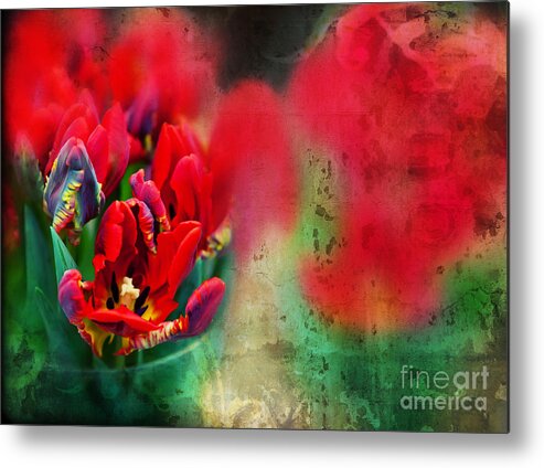 Flowers Metal Print featuring the photograph Flowers by Ariadna De Raadt