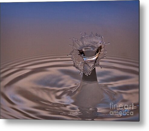 Water Metal Print featuring the photograph Fluid Flower by Susan Candelario