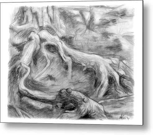 Charcoal Metal Print featuring the drawing Gnarled by Adam Long