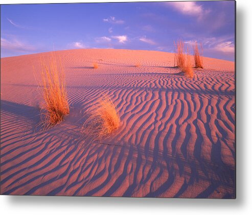 00174098 Metal Print featuring the photograph Gypsum Dunes Guadalupe Mountains by Tim Fitzharris