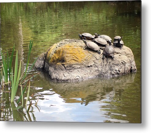 Turtle Metal Print featuring the photograph Life should be more exciting by Hiroko Sakai