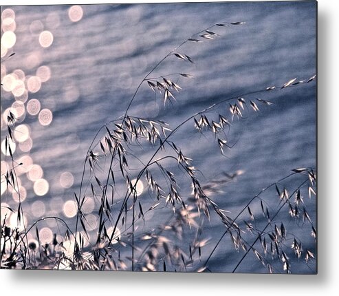 Seascape Metal Print featuring the photograph Light bubbles and grass by Jocelyn Kahawai