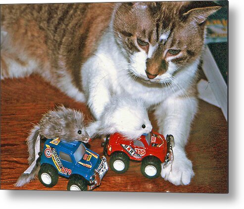 Whimsy Metal Print featuring the photograph Meals on Wheels by Lou Belcher