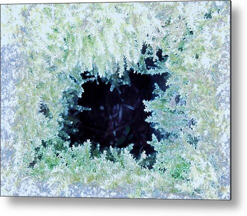 Moss Metal Print featuring the photograph Moss Geode by Renee Trenholm