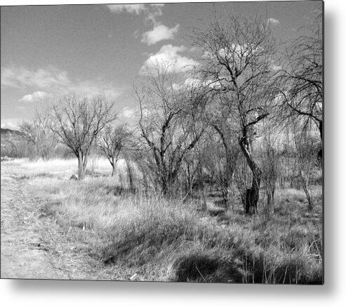 Landscape Metal Print featuring the photograph New Mexico Series - Bare Beauty by Kathleen Grace