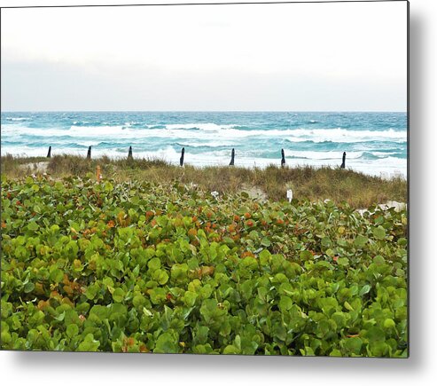 Ocean Metal Print featuring the photograph Oceanside by Pete Rems