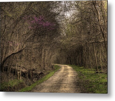 Katy Trail Metal Print featuring the photograph On This Trail by William Fields