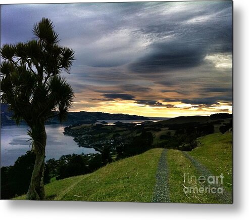 New Zealand Metal Print featuring the photograph Peaceful Pathway by Alisha Robertson