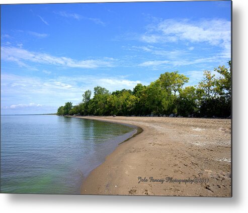 Photography Metal Print featuring the photograph Point Pelee Beach by Jale Fancey