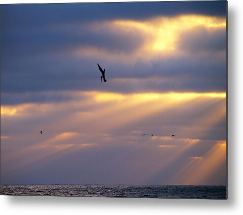 Sunset Metal Print featuring the photograph Predator Drone in the Minds of Fish by Joe Schofield