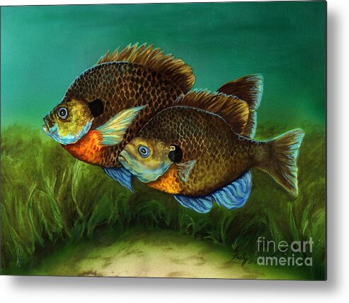 Bluegills Metal Print featuring the painting Pretty Little Panfish by Kathleen Kelly Thompson