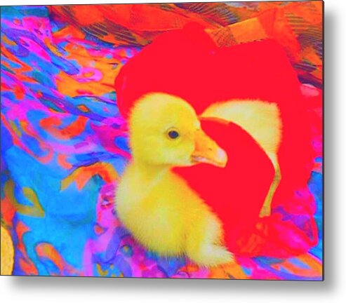 Photography Metal Print featuring the painting Pure Dodo by Bogdan Floridana Oana