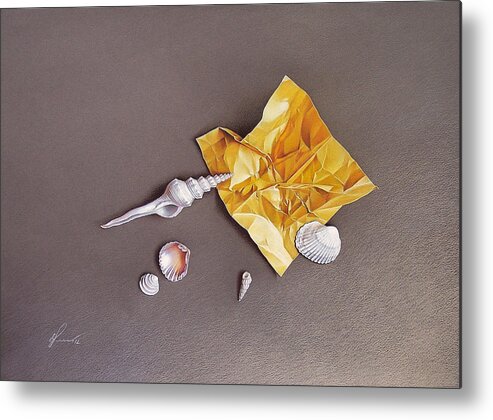 Shell Metal Print featuring the drawing Shells of the day by Elena Kolotusha