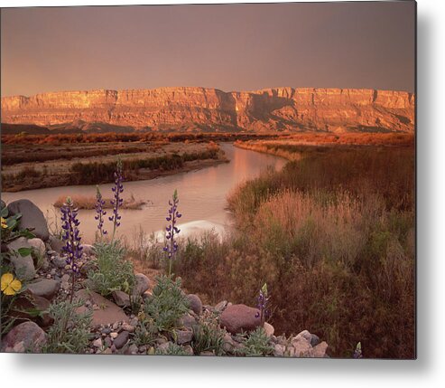 00174091 Metal Print featuring the photograph Sierra Ponce And Rio Grande Big Bend by Tim Fitzharris