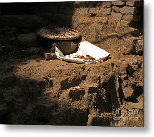 Bird Metal Print featuring the photograph Solitary Feast by Louise Peardon