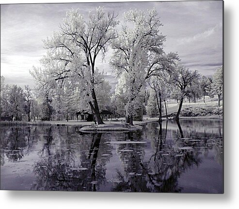 Pond Metal Print featuring the photograph Spring at the Pond by HW Kateley