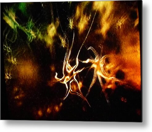 Fireworks Metal Print featuring the photograph Starburst by A L Sadie Reneau