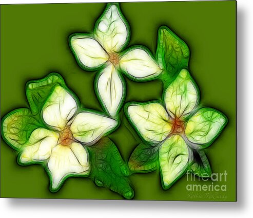 White Dogwood Metal Print featuring the photograph White Dogwood by Kathie McCurdy