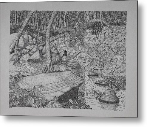 Nature Metal Print featuring the drawing Woodland Stream by Daniel Reed