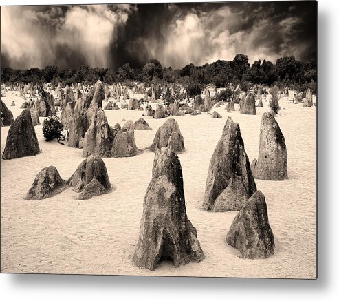 Desert Metal Print featuring the photograph Convocation #1 by Dominic Piperata