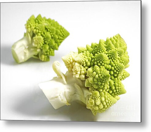 Botany Metal Print featuring the photograph Romanesco Broccoli Or Cauliflower #1 by Gerard Lacz