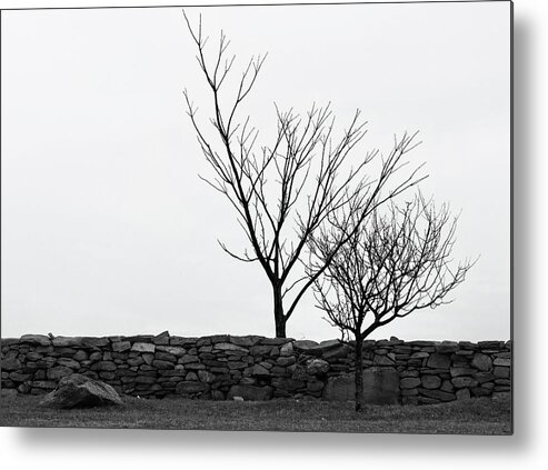 Colt State Park Metal Print featuring the photograph Stone Wall with Trees in Winter #1 by Nancy De Flon
