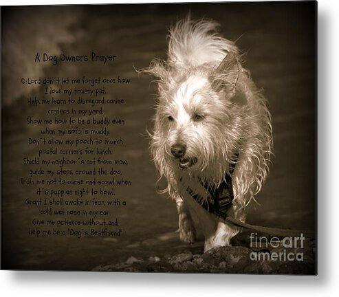 Dog Metal Print featuring the photograph A Dog Owners Prayer by Clare Bevan