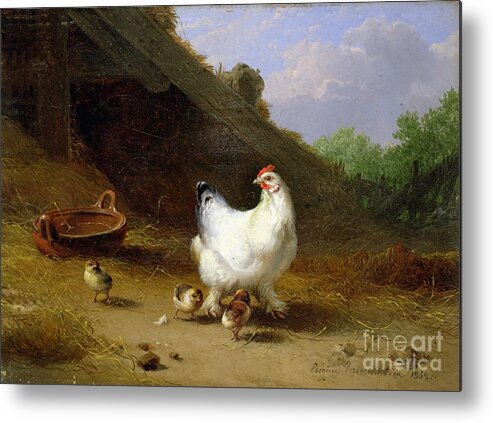 Hen Metal Print featuring the painting A hen with her chicks by Eugene Joseph Verboeckhoven