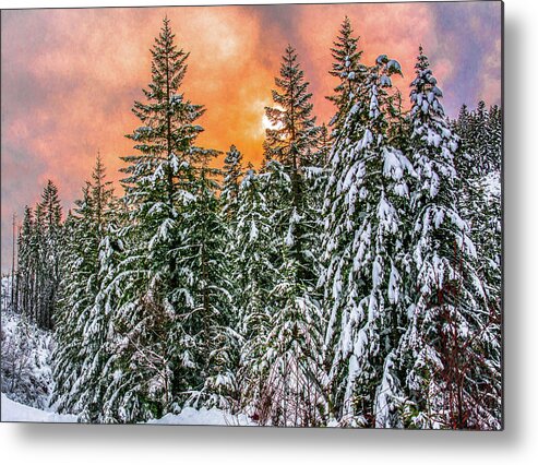 Sunset Metal Print featuring the photograph A winters sky set ablaze by Jason Brooks